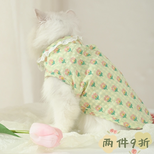 猫咪衣服夏季宠物小猫银渐层猫猫薄款英短蓝猫夏无袖可爱幼猫背心