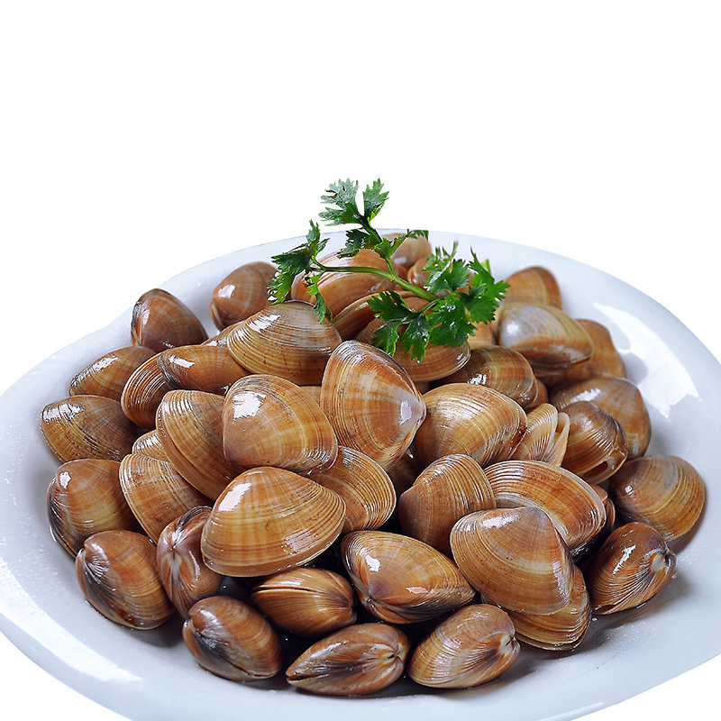 大黄蚬子鲜活无沙生鲜海鲜蛤蜊花甲2斤装花蛤嘎啦肉文蛤顺丰包邮