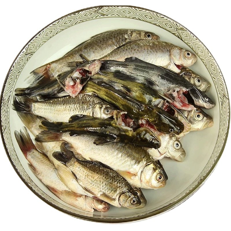 淡水鱼水产鲜活现杀野杂鱼 新鲜小黄骨鱼鲫鱼黑鱼鲶鱼小杂鱼500g - 品