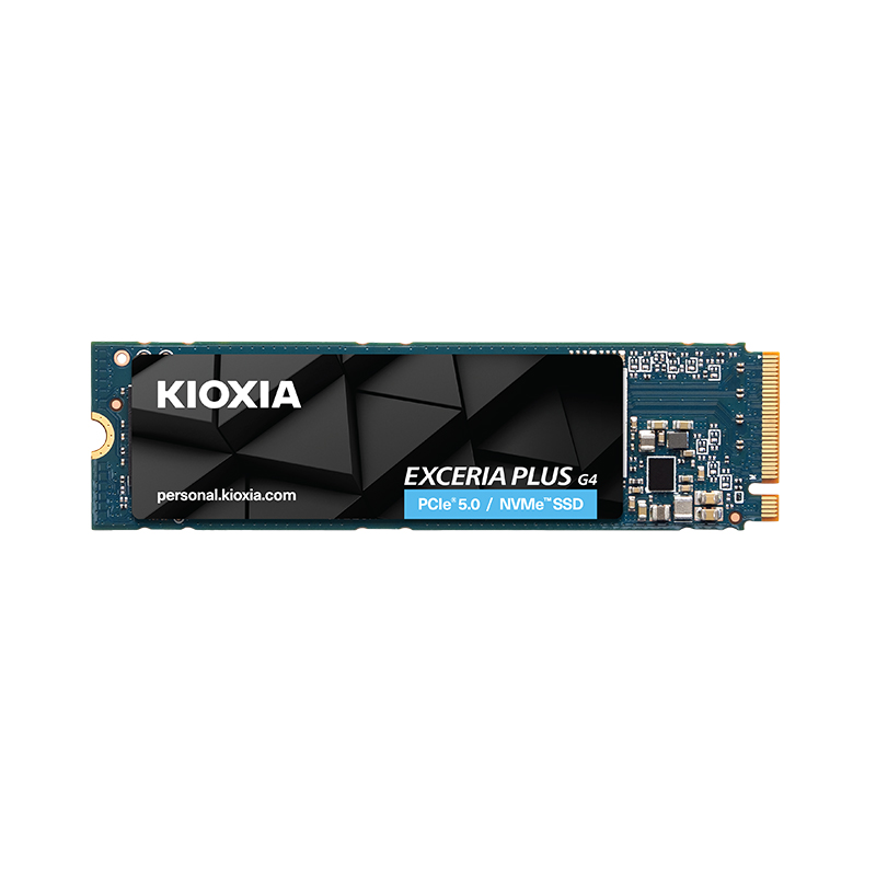 VD10̬Ӳ1tb 2t pcie5.0 nvme m2  ssdʼǱ̨ʽm.2