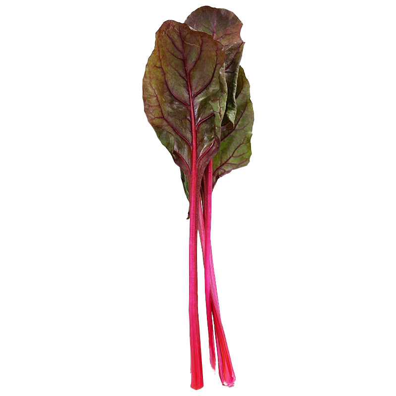 红叶甜菜根达菜种籽红莲草救心草红梗菠菜马兰头四季耐寒蔬菜种子