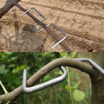 柑橘弯枝器拉枝器果树固定通用型枝条压弯好用修理主干夹角李树