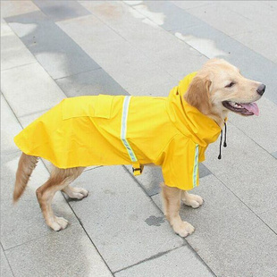 狗狗下雨神器雨衣泰迪雨衣防水大狗斗篷雨披大型犬金毛拉布拉多中