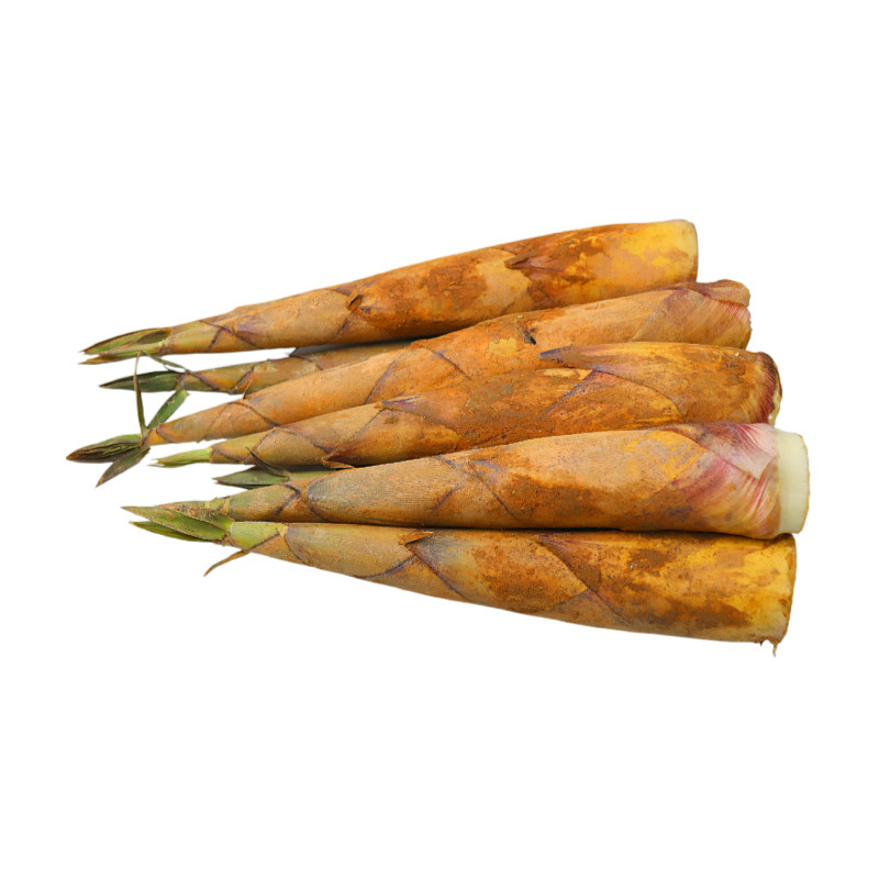 现挖福建新鲜甜笋黄尖笋竹笋黄泥笋春笋油焖笋尖甜笋鲜笋蔬菜4斤