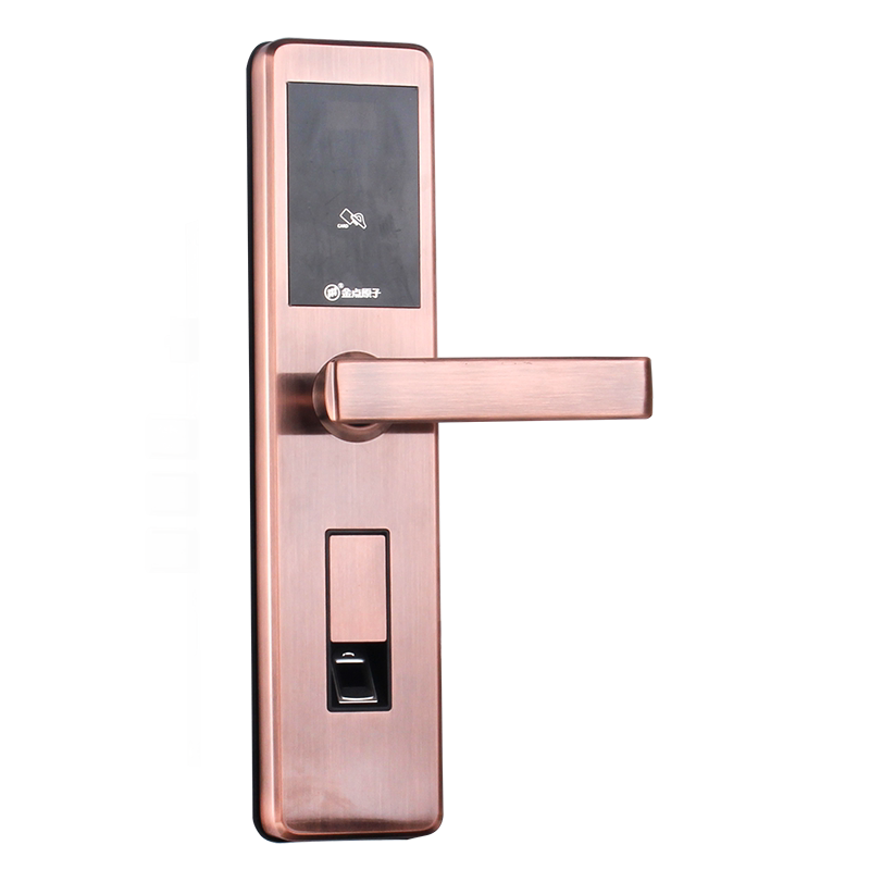 【用户实话】金点原子家用智能电子大门防盗门锁买了后悔?