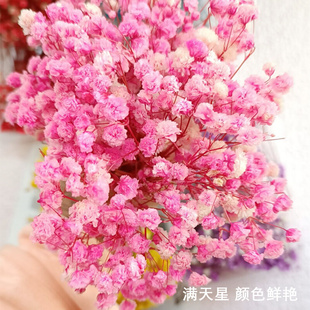 满天星干花花束手工diy花材包装饰摆件插花瓶真花永生花手工制作