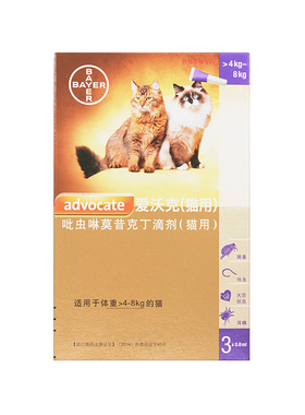 爱沃克猫