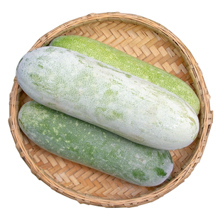 新鲜小冬瓜 现摘青皮迷你毛节瓜 农家种植当季时令蔬菜4-5斤