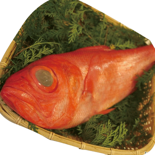 富临美达新西兰深海冷冻大眼红鱼