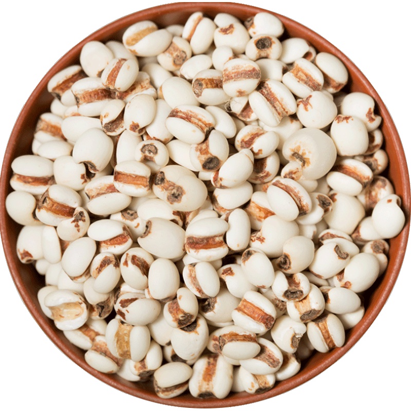 新鲜贵州小薏米仁薏仁米薏苡仁红豆去湿气五谷杂粮新货意米500g