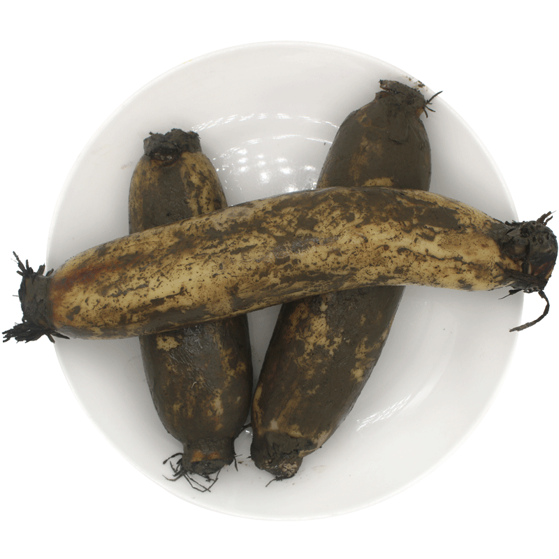 洪湖莲藕新鲜现挖带泥粉藕面藕炖汤藕养生红藕湖北特产包邮2.5斤