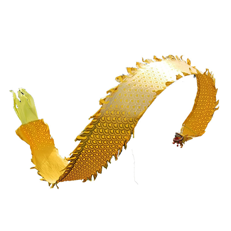 广场舞甩龙双面烫金健身龙带甩彩带飘带单人空竹舞龙头彩龙中老年