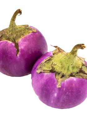 泰国生吃小圆茄西双版纳傣家野茄咖喱茄迷你紫色蛙蛋茄紫脆茄包邮