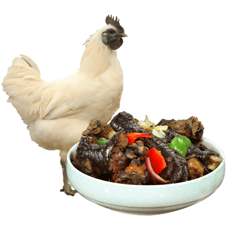 初土记白凤乌鸡 农家散养新鲜土鸡乌骨鸡大公鸡当天现杀冷冻顺丰