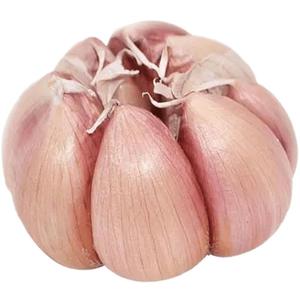 河南農(nóng)家干大蒜5斤大蒜頭新鮮大蒜紫白皮種子新干蒜9斤1斤蔬菜