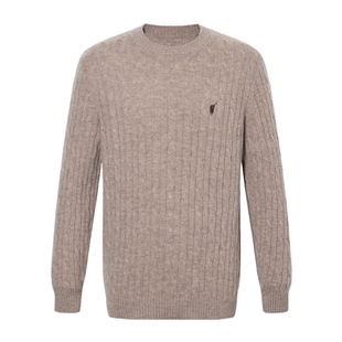 【100%绵羊毛】POLOWALK男士毛衣秋冬新款针织衫圆领百搭羊毛衫男