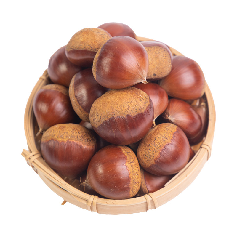 新鲜生板栗当季大板栗生栗东北锥栗野生板栗5斤大果栗子整箱菜栗1