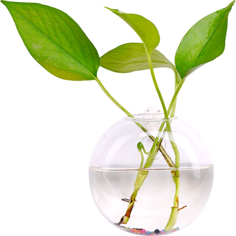 透明水培玻璃悬挂花瓶创意家居壁饰插花绿萝水养植物壁挂小花瓶