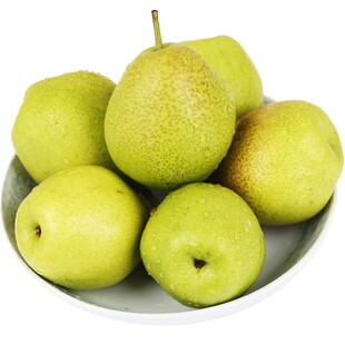 陕西红香酥梨应季新鲜香梨孕妇水果梨子现摘脆甜多汁10斤批发梨