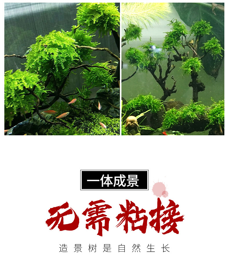 鱼缸造景树森林沉木莫斯树一木成景草缸水族懒人树小树林成品摆件