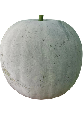 香芋小冬瓜种籽迷你小冬瓜种子高产粉皮圆东瓜种农家春秋蔬菜种孑