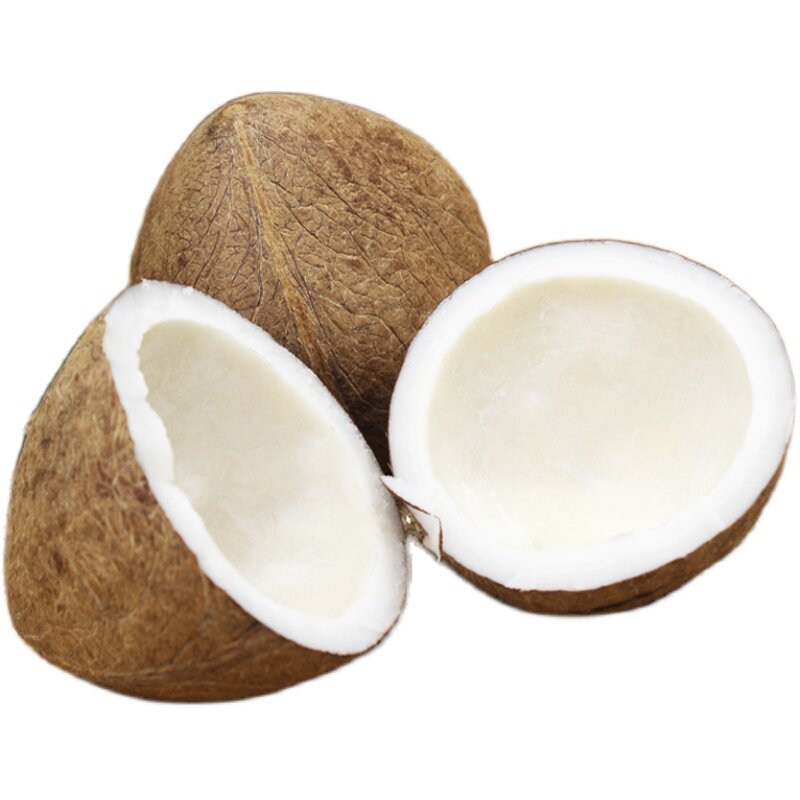 印度椰子海椰王海椰皇椰皇新鲜椰青煲汤海底椰1000克 印度椰子皇