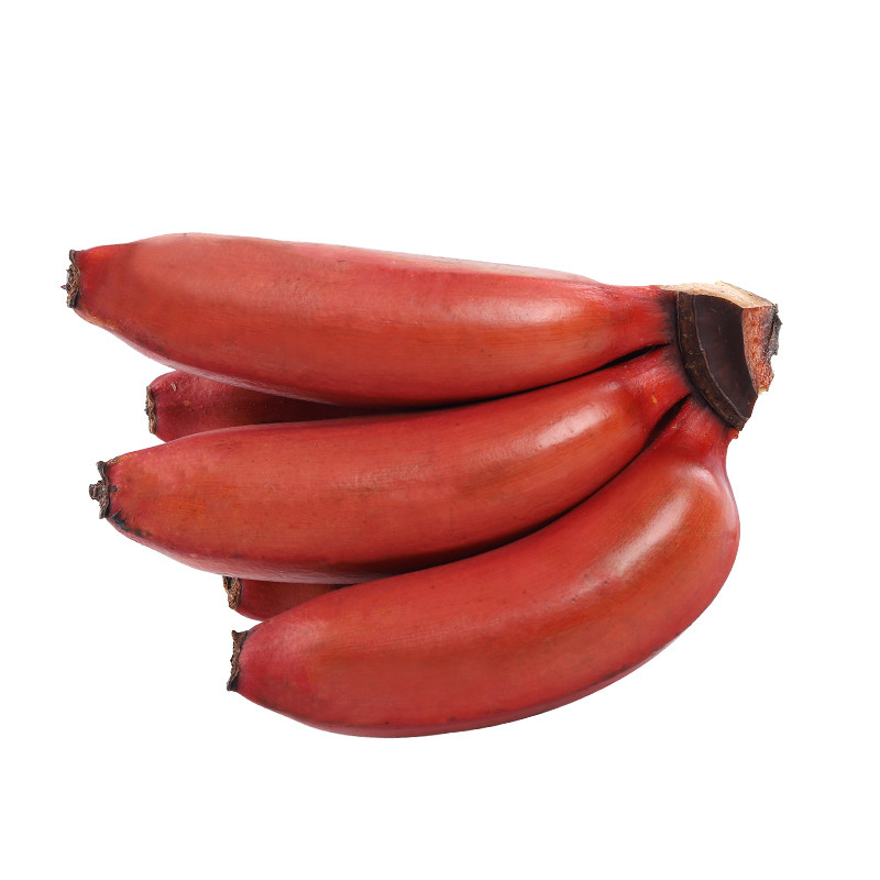 红香蕉