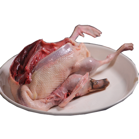 五年老种鸭洪湖绿头鸭老母鸭散养特种老鸭汤农家养殖新鲜鸭肉包邮