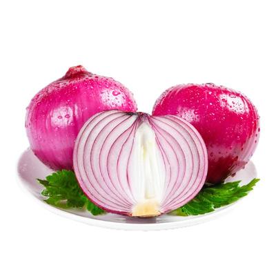 河南高山特产紫皮洋葱新鲜现挖农家自种蔬菜当季小圆葱头脆甜批发