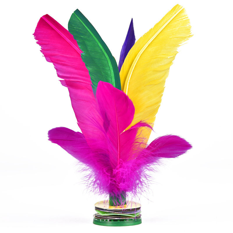 羽毛毽子建子健身毽球小学生比赛鸡毛键耐踢鹅毛踢大彩色花毽儿童