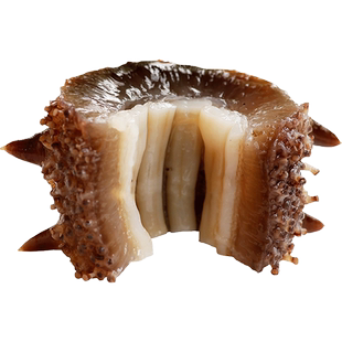 久年 大连野生海参牛肉香粒罐头100g新品海鲜水产品熟食海参罐头