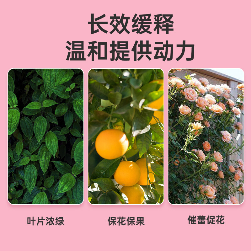 彩乐植缓释营养棒通用型花肥料植物绿植花卉多肉阳台园艺盆栽家用