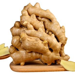 生姜母老姜母山东大黄姜母新鲜生姜母黄姜月子姜新鲜蔬菜5斤包邮