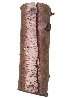 正宗雷击木桃木自然雷击纹雷劈明清桃树雷震木雕刻木雕原木料干料