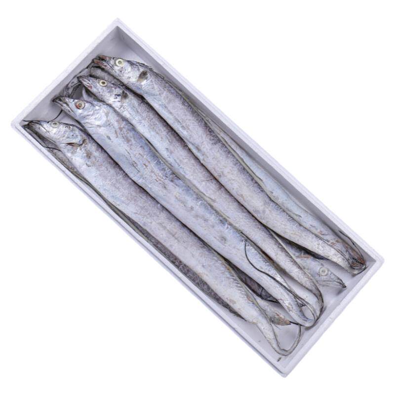 舟山海捕带鱼新鲜冷冻整箱10斤特级大整条小眼东海海鲜特大特大带鱼