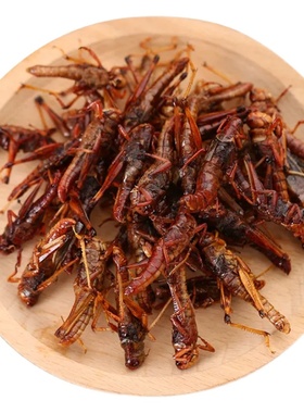 贵州特色香辣味油炸蚂蚱蝗虫美食虫子小吃蚱蜢炸昆虫零食200g包.