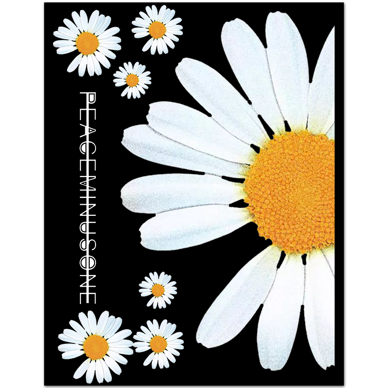 权志龙gd小雏菊全贴大整张行李箱贴纸潮牌旅行拉杆箱电脑防水贴画