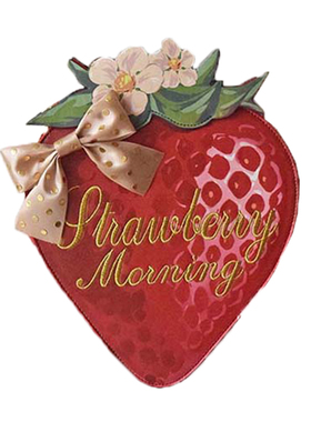 morning glory原创设计新款斜跨包