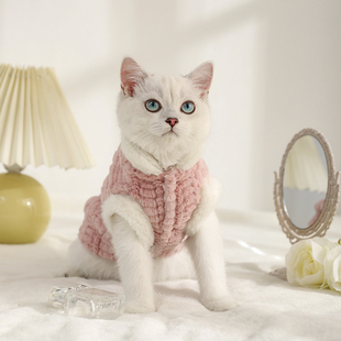猫咪衣服冬季防掉毛幼猫布偶猫英短小猫冬天保暖的宠物猫猫秋冬装