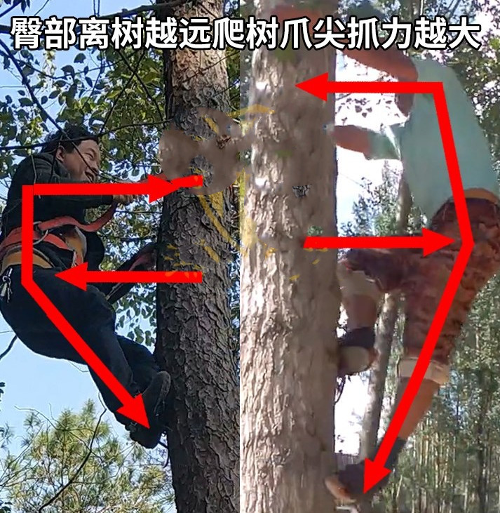 爬树神器防滑猫爪全304不锈钢万能脚扎子上树神器专用