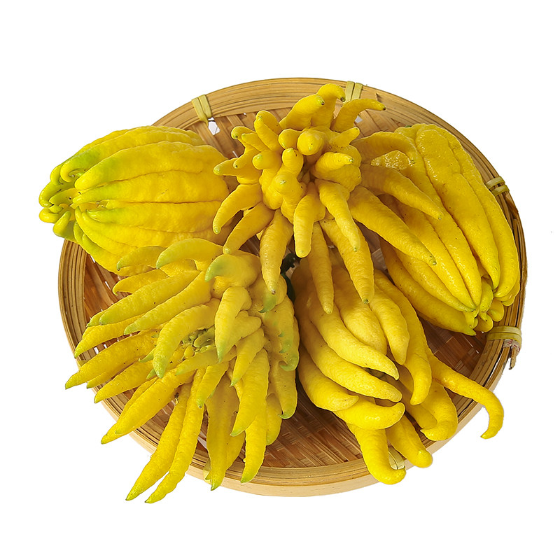 金华佛手 新鲜佛手香橼清供观赏把玩小果清香除味家用车用佛手果