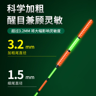 大物鱼漂电子夜光漂鲢鳙专用日夜两用醒目加粗尾巨物远投夜钓浮漂