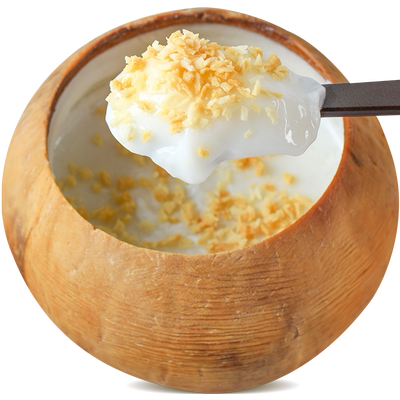 菲诺椰子冻2个装椰皇冻全家黄金椰粒椰奶冻椰果冻新鲜_淘必搜优惠券