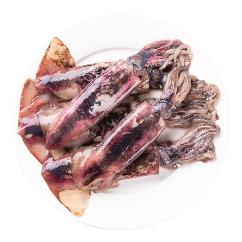 大连特产新鲜海捕冷冻海产小鱿鱼500g