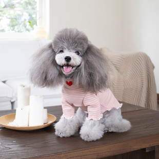 纯棉打底背心套头泰迪比熊蓝猫猫咪狗狗宠物衣服幼猫小型犬秋冬款