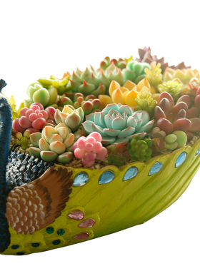 包邮大号孔雀多肉树脂创意可爱花盆