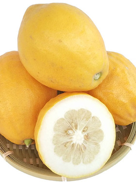 现摘现发香橼果新鲜金华香橼香水柠檬摆设观赏清贡供佛闻香非佛手