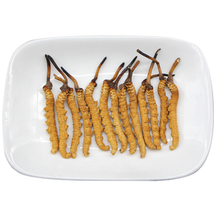 云麓新鲜冬虫夏草正品冻干草冬虫草干货3根/克10克礼盒【附质检】