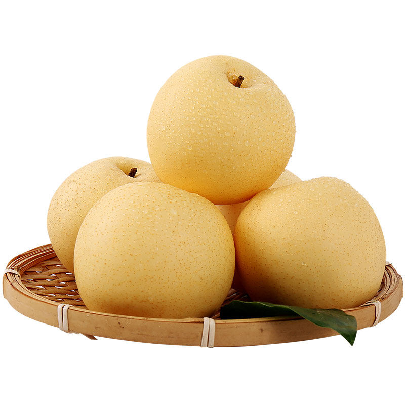 青岛啤酒皮尔森105度12瓶