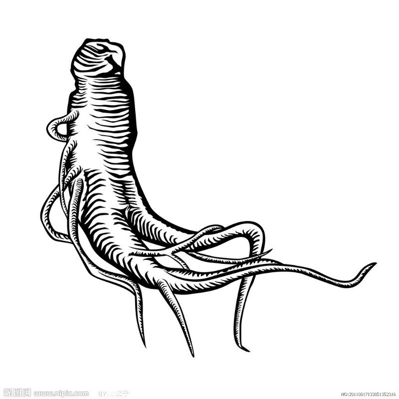 吉林长白山灵芝孢子粉头道椴木灵芝孢子粉林芝孢子粉250g包邮